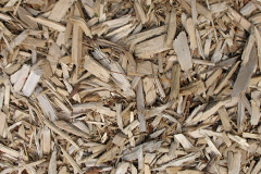 biomass boilers Reskadinnick